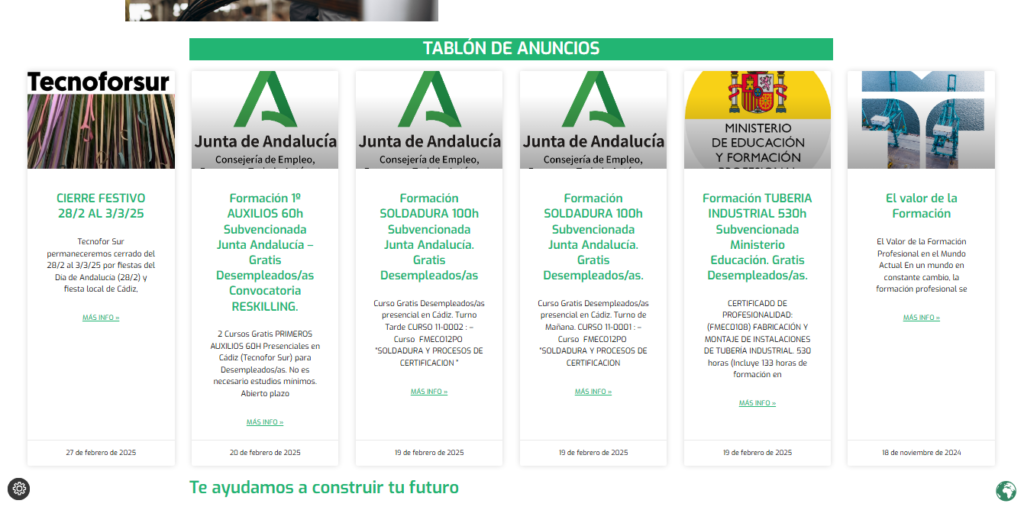 tecnoforsur cursos